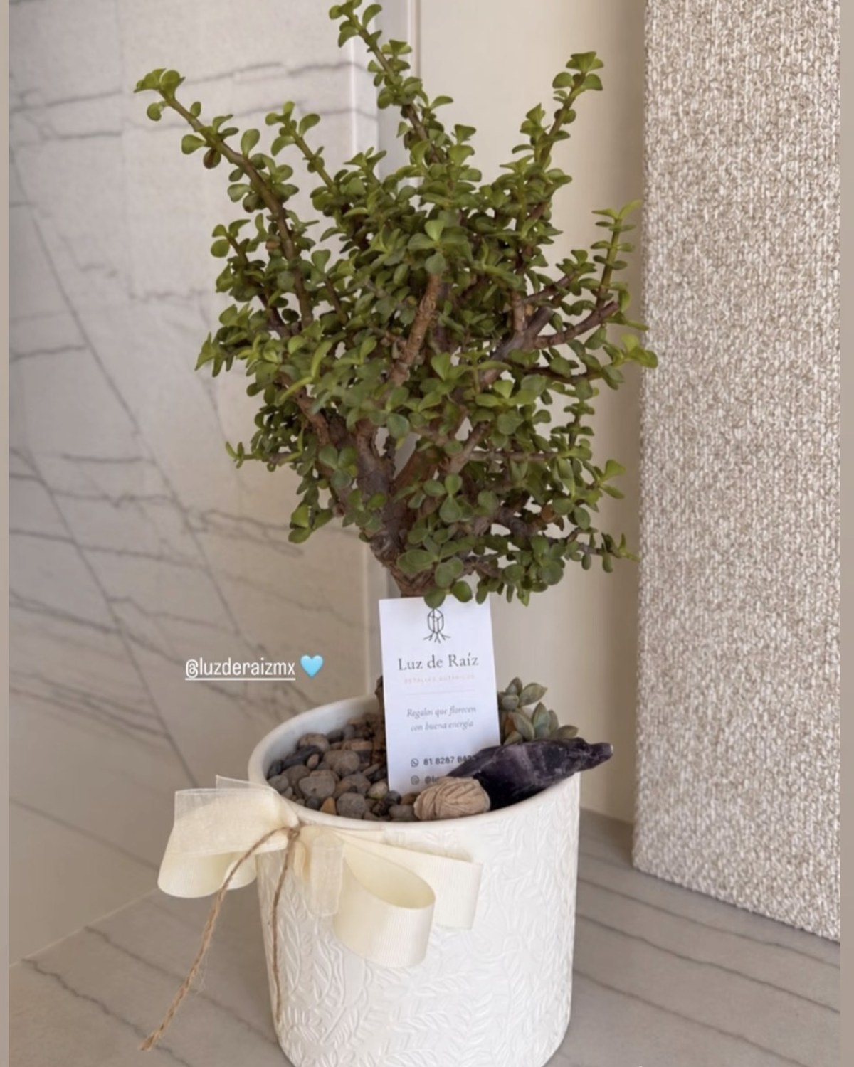 Árbol de la abundancia con amatista, moño y tarjeta de Luz de Raíz en la casa de una clienta
